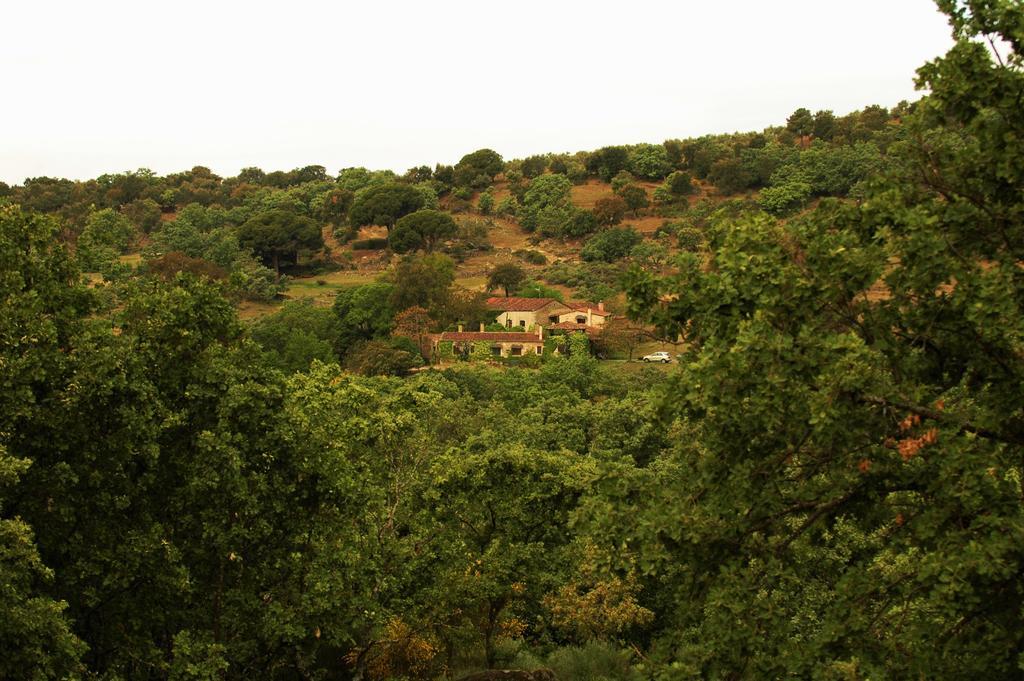 Casa Rural El Cabezo Сан Мартин де Тревехо Екстериор снимка
